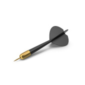 Дротики для дартса черные W3211DB
